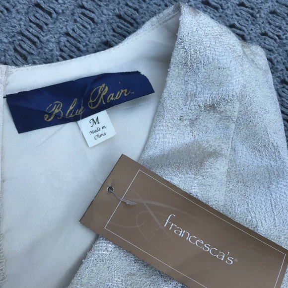 Francesca’s Silver/Ivory Dress - Picture 4 of 4